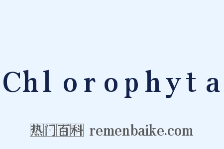 Chlorophyta是什么意思的图片